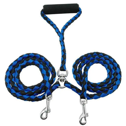 Training Double Dogs Leashes