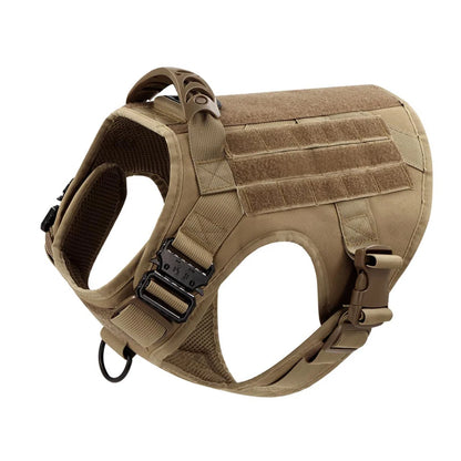 Large Dog Harness And Leash