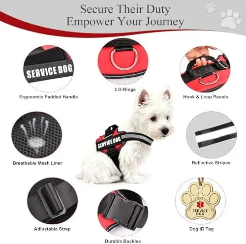 Service Dog Vest & ID Cards Set for ADA Compliance