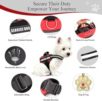 Service Dog Vest & ID Cards Set for ADA Compliance