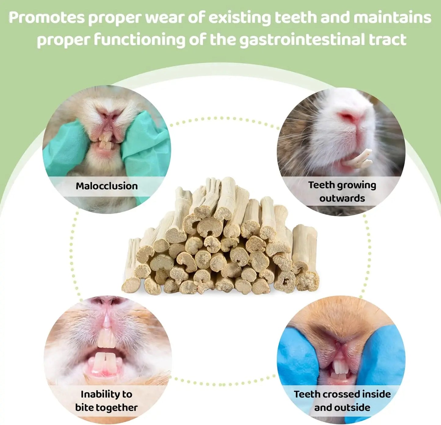 Small Animal Dental Treats for Rabbits Guinea Pigs Chinchillas