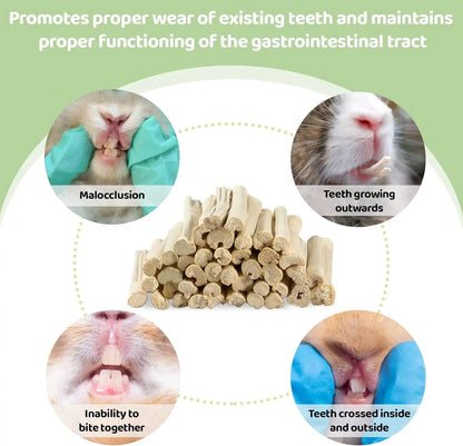 Small Animal Dental Treats for Rabbits Guinea Pigs Chinchillas