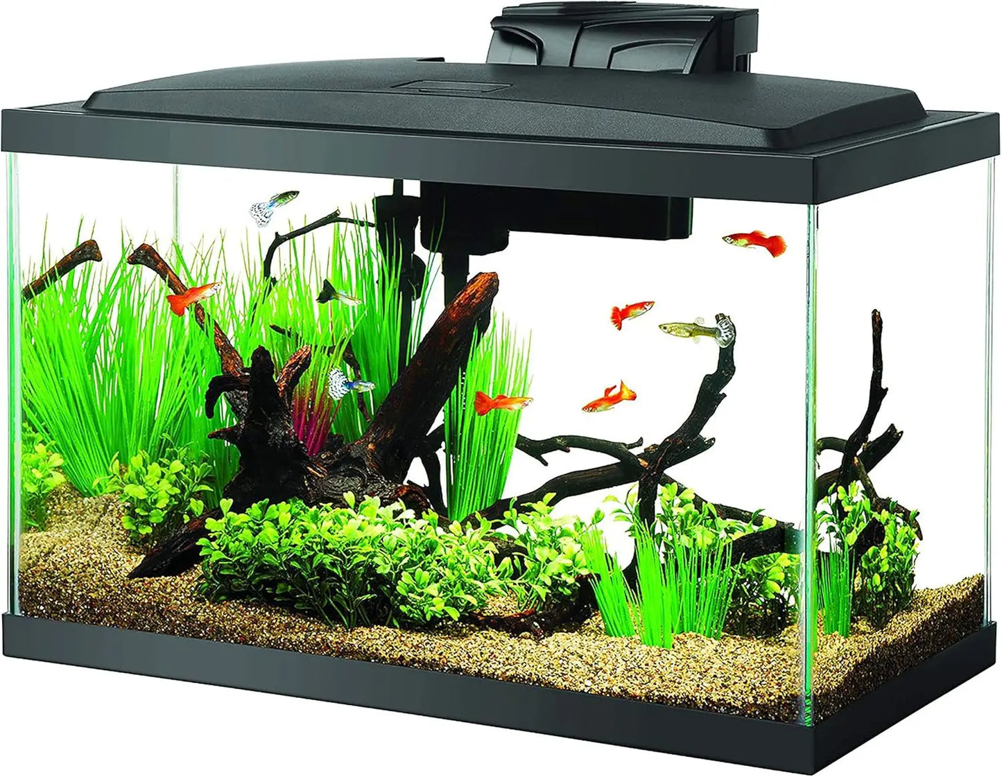Complete 10 Gallon Aquarium Starter Kit with LED Lighting - Everything Included