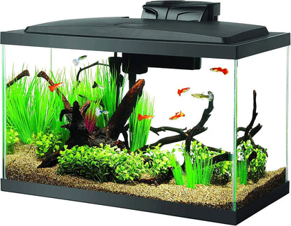 Complete 10 Gallon Aquarium Starter Kit with LED Lighting - Everything Included