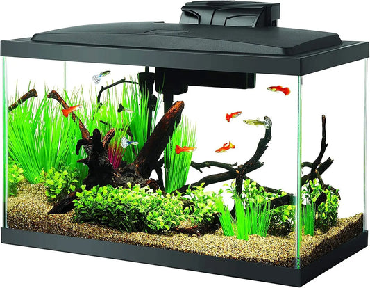 Complete 10 Gallon Aquarium Starter Kit with LED Lighting - Everything Included