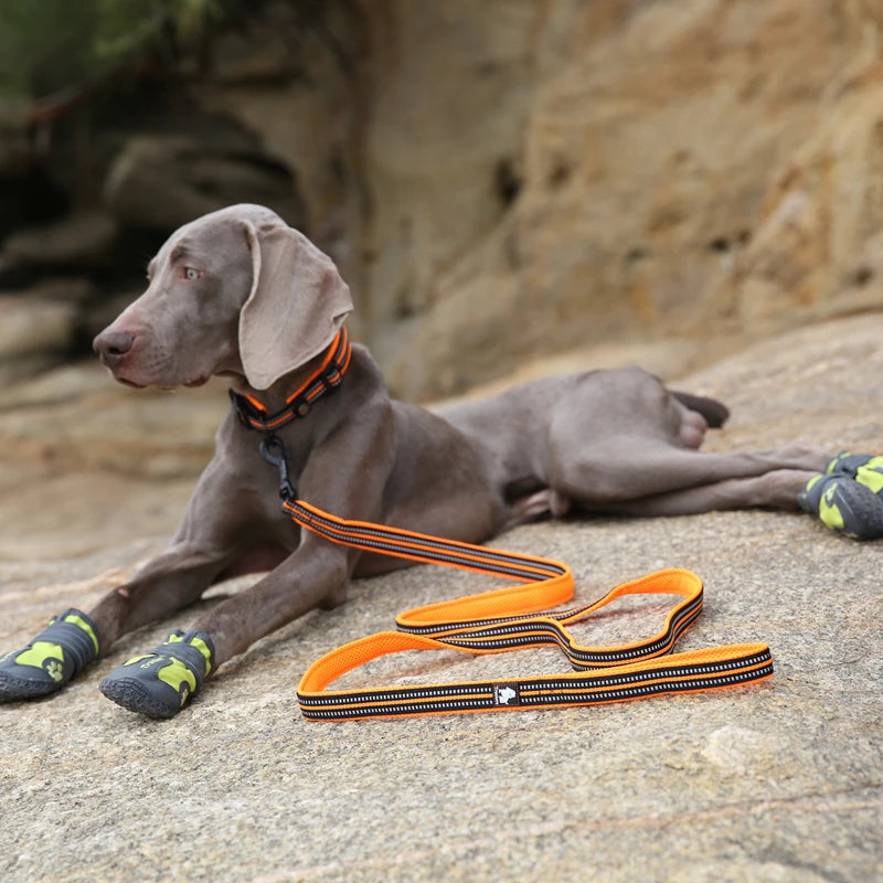 Dog Leash with Padded Handle