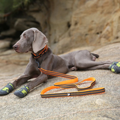 Dog Leash with Padded Handle