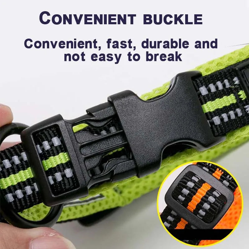 Dog Walking Collar
