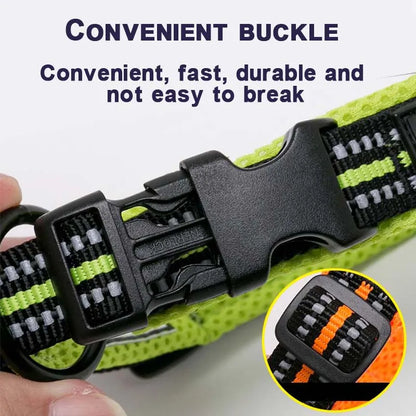 Dog Walking Collar