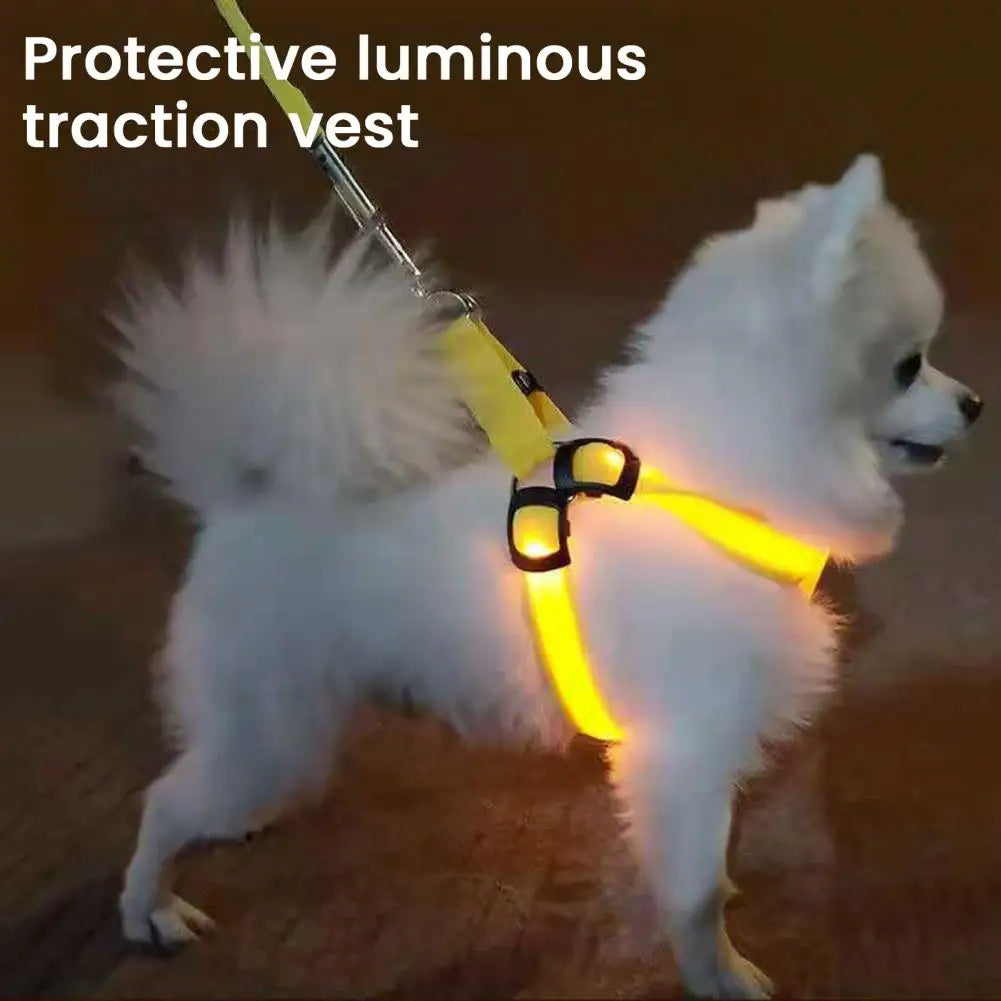 Harness USB Rechargeable