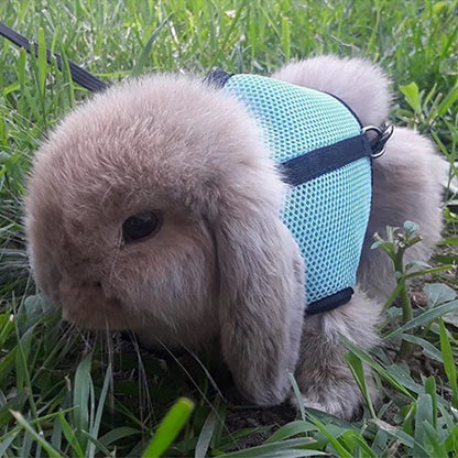 Small Mesh Harness/Leash