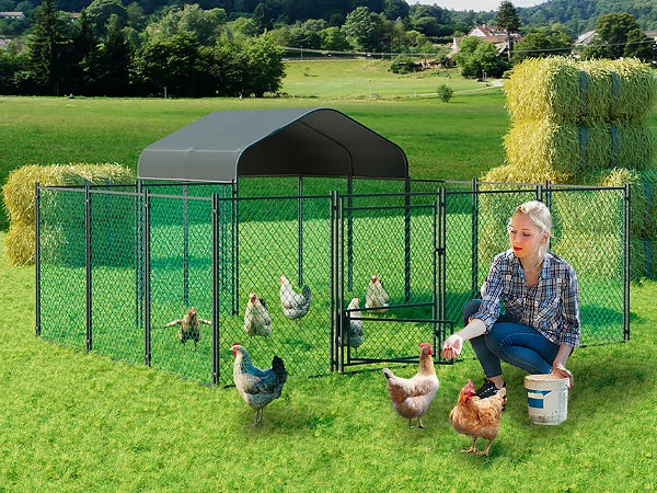 Chicken Coop