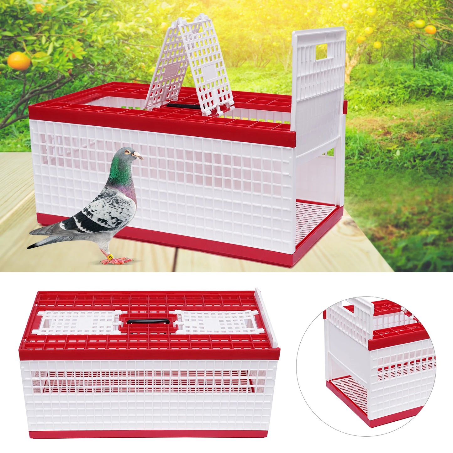 Foldable Pigeon Cage with Handle