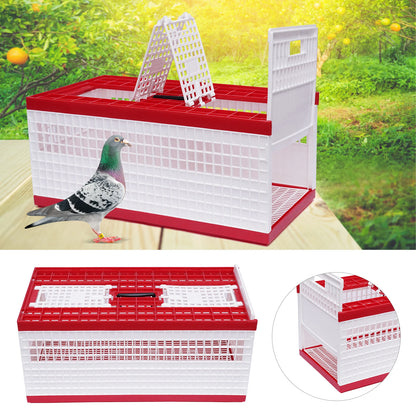 Foldable Pigeon Cage with Handle