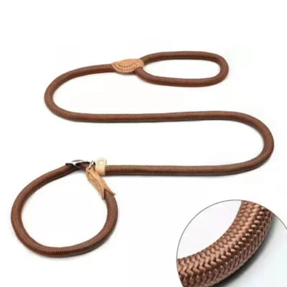 Adjustable Collar Harness Dog Leash
