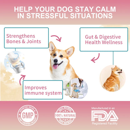 NUTRIDOG Dog Multivitamin Chews