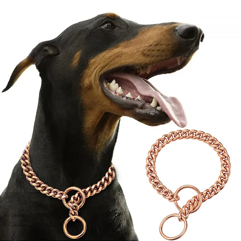 Stainless Chain Collar