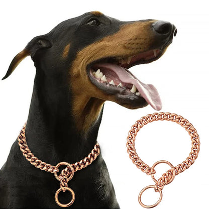 Stainless Chain Collar