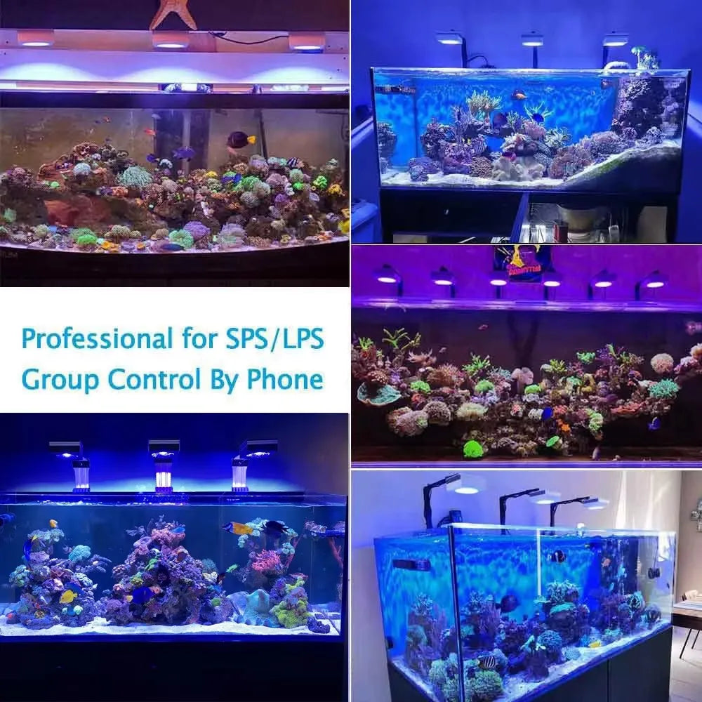 Wi Fi Reef Aquarium Light