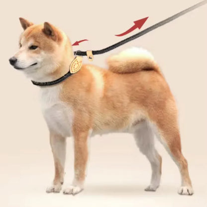 Adjustable Collar Harness Dog Leash
