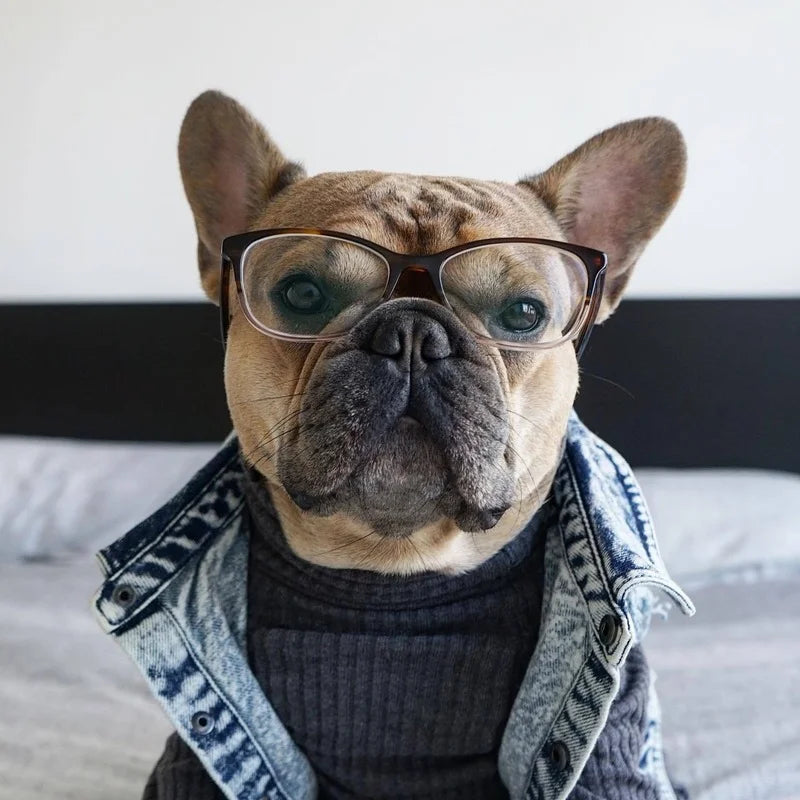 Pet Dog Jeans Jacket Denim Coats