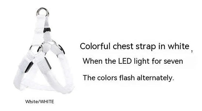 Adjustable LED Dog Harness