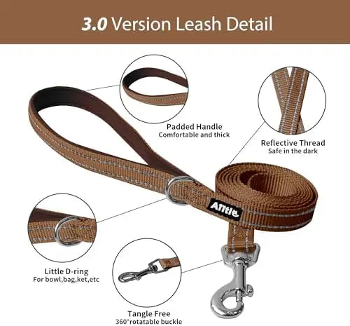Adjustable Harness & Leash Set