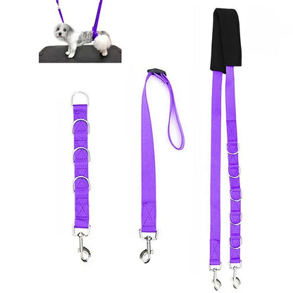 Harness Leads For Pet Grooming Table