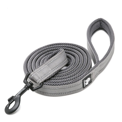 Dog Leash with Padded Handle
