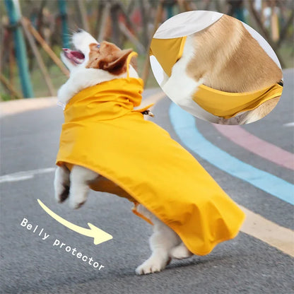 Rainy Season Raincoat Waterproof Pet Clothes