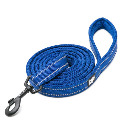 Dog Leash with Padded Handle