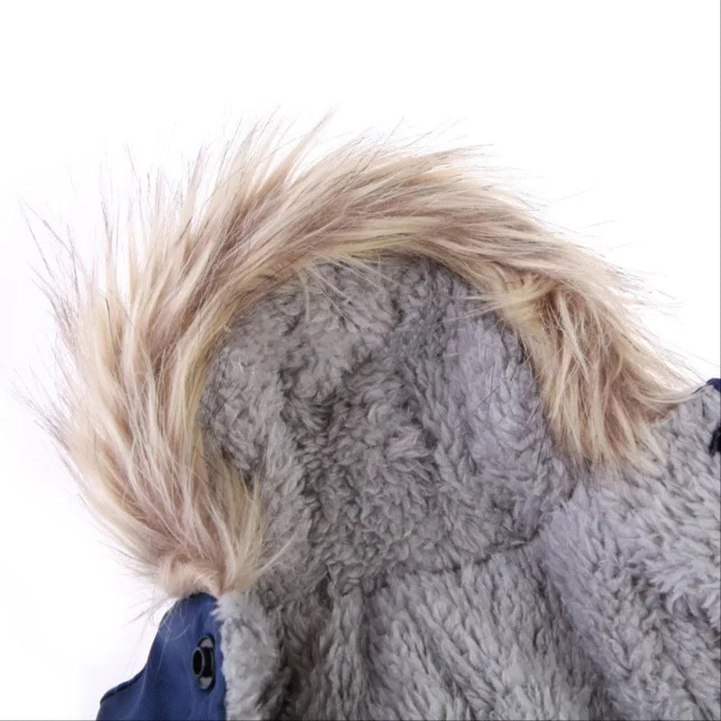 Pet Dog Jacket Waterproof