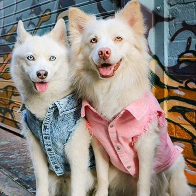 Pet Dog Jeans Jacket Denim Coats