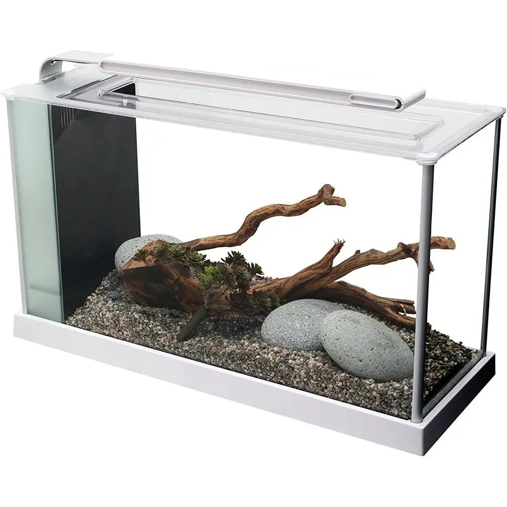 5 Gallon White LED Lighted Aquarium Kit