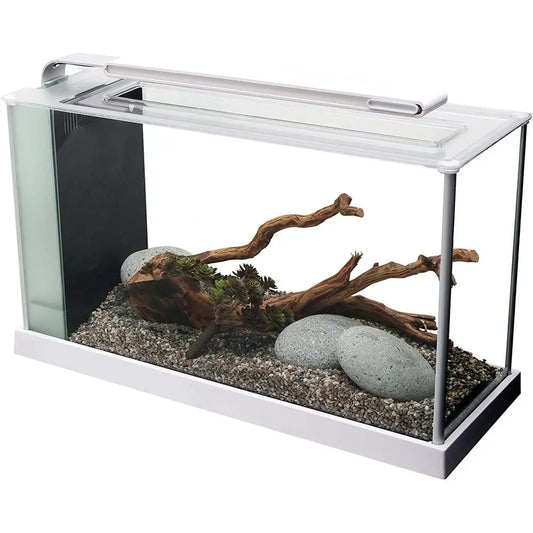 5 Gallon White LED Lighted Aquarium Kit