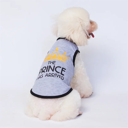 Summer Cotton Sphynx Cat T Shirt Vest