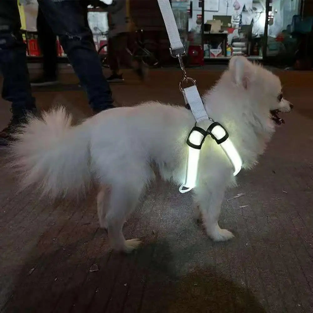 Harness USB Rechargeable