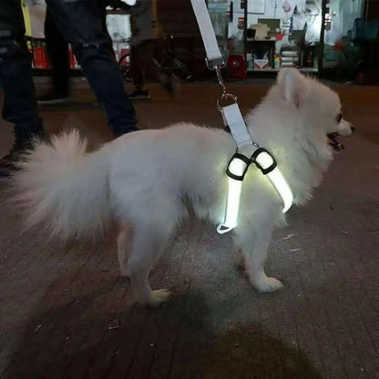 Harness USB Rechargeable