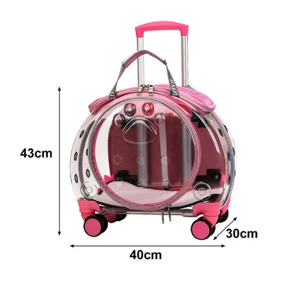 Travel Backpack for Cats