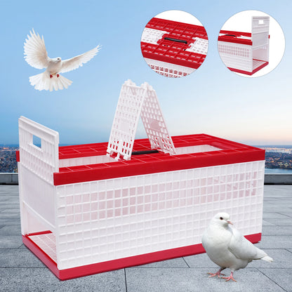 Foldable Pigeon Cage with Handle