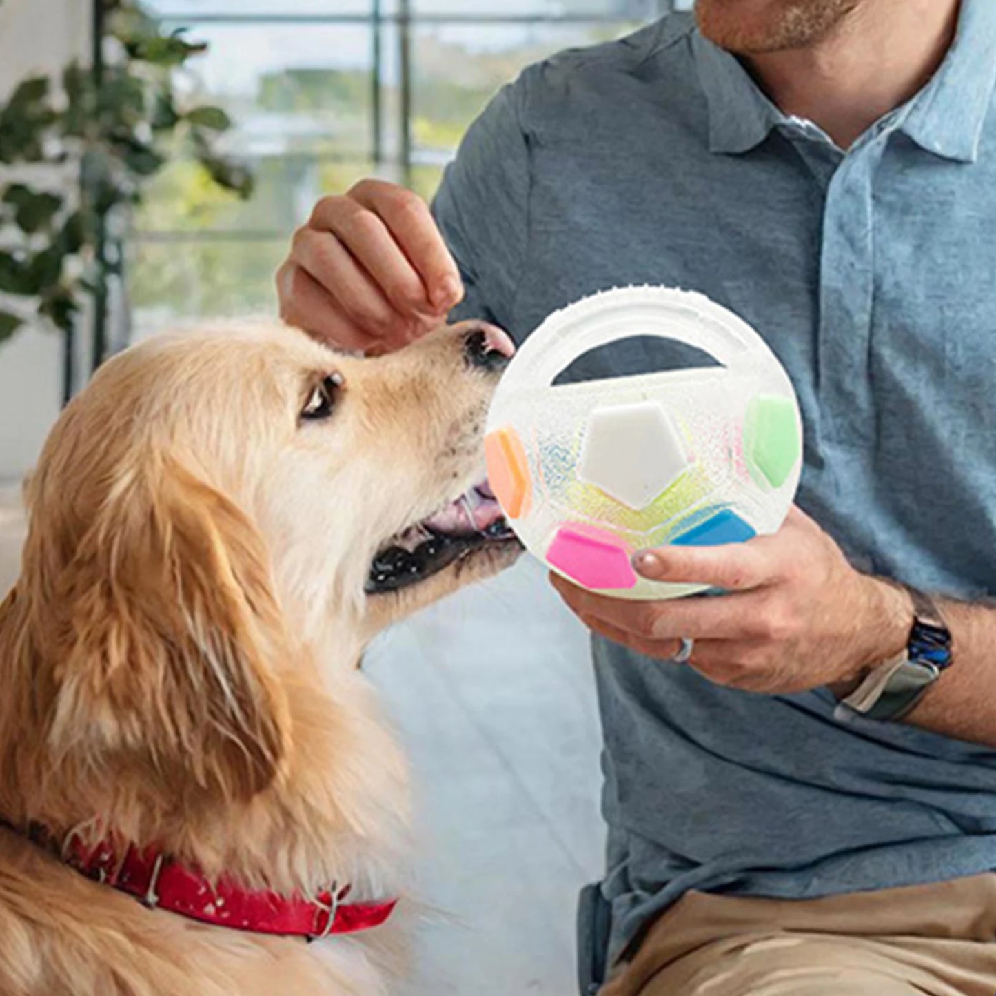 Dog Calming Ball