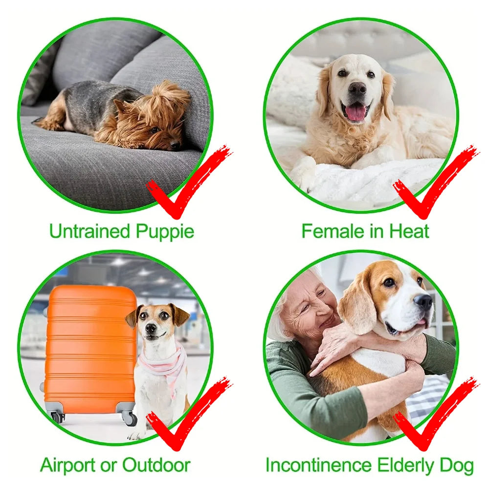 3Pcs Reusable Female Dog Diapers Washable