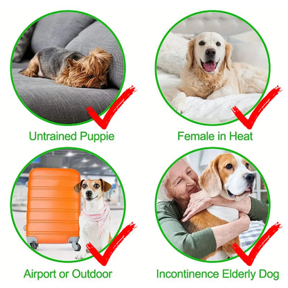 3Pcs Reusable Female Dog Diapers Washable