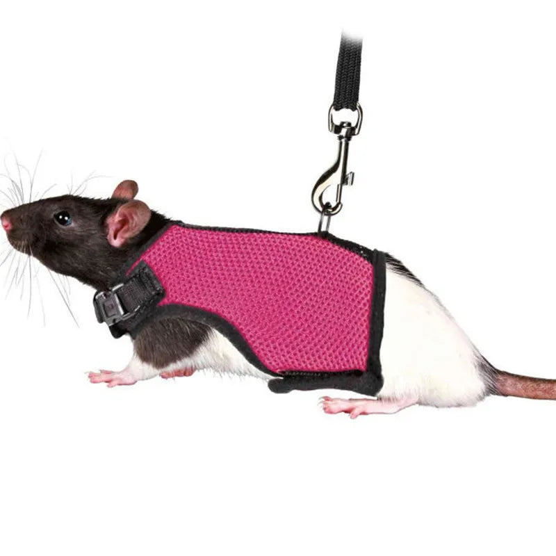 Small Mesh Harness/Leash