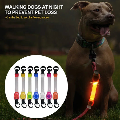 Waterproof Dog Anti-Lost Safety Glowing Collar