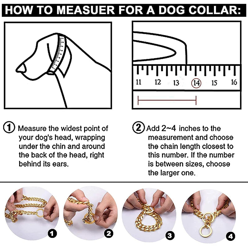 Stainless Chain Collar