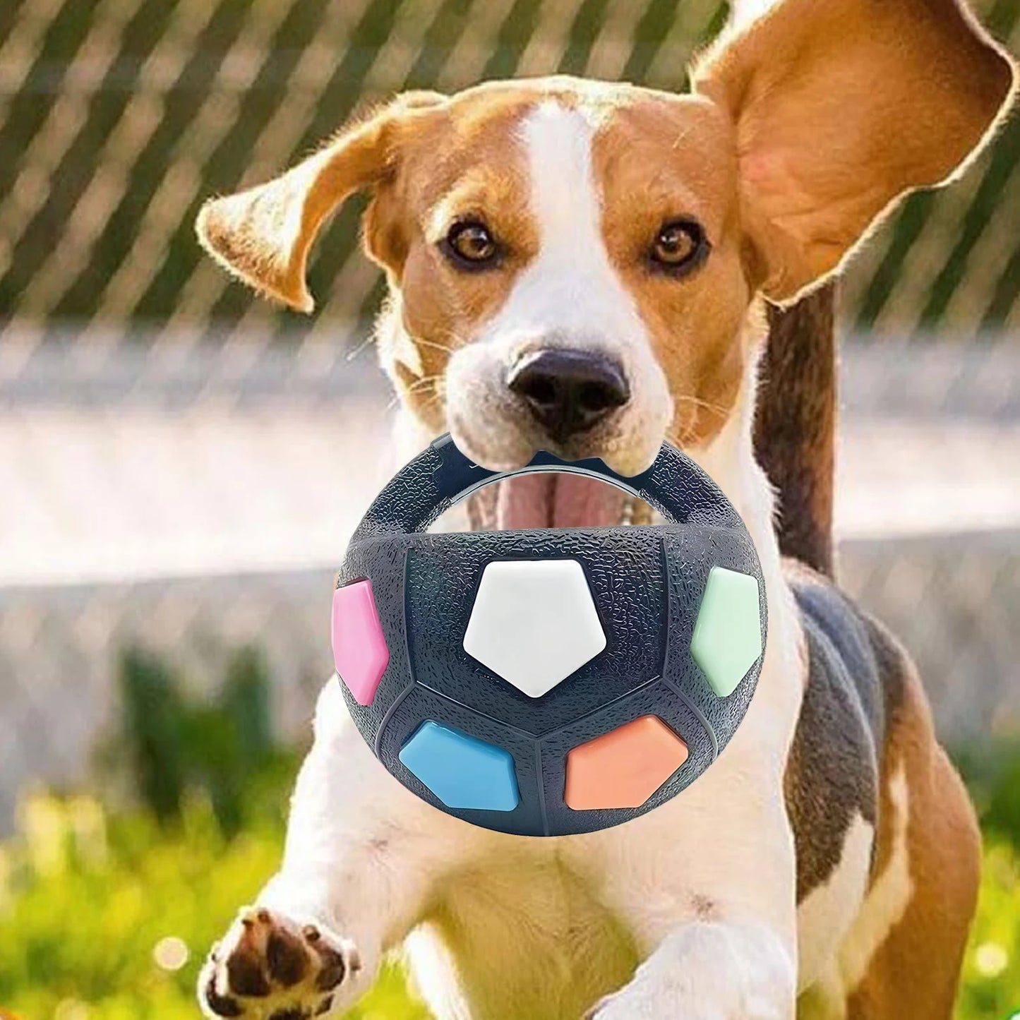 Dog Calming Ball