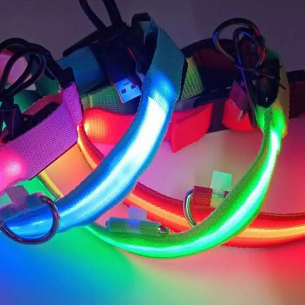 Harness USB Rechargeable