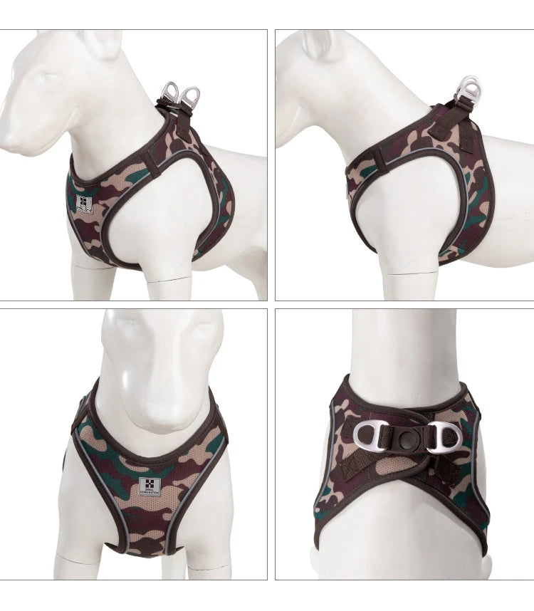 Dog Harness Leash Set