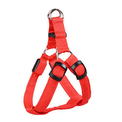 Harness USB Rechargeable
